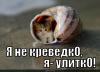 ulitko_1288407494.jpg