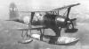 f1m-2.jpg