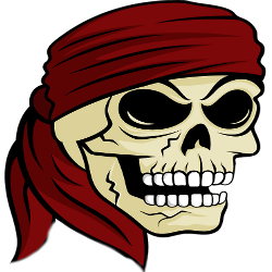 skulls-pirate.png.5f6941188f989196340844546daed456.png
