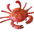 DespicableCrab