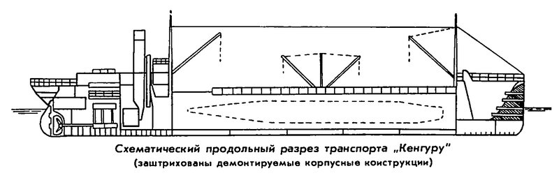 kto-pridumal-kenguru-02 - копия.jpg