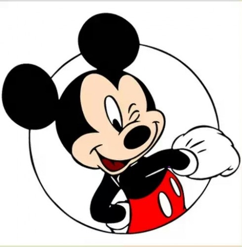 mickey.jpg.27512edf836af56b1f2d91578576c873.jpg