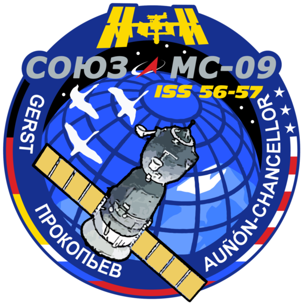 800px-Soyuz-MS-09-Mission-Patch.thumb.png.95276c97ed476b47d010f6d20562c88a.png