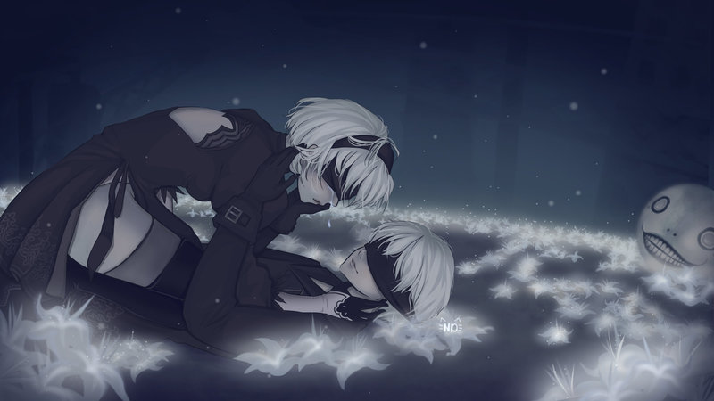 2b and 9s2.jpg