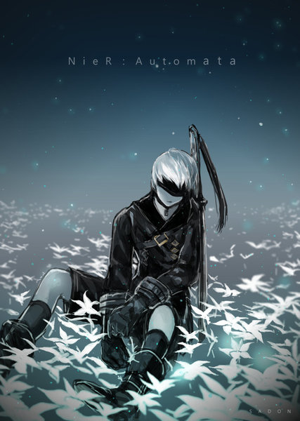 9s4.jpg