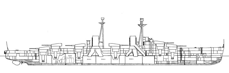 HMLS Tijger drawing.jpg