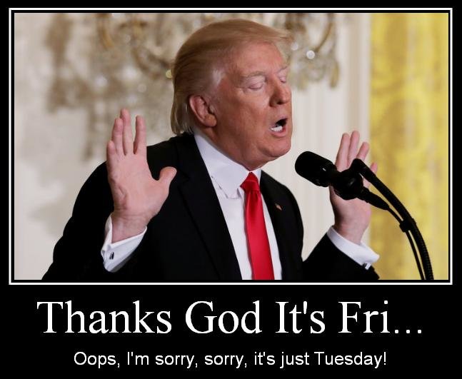 Tuesday.JPG.18588cf881b1cd8a0f138340c0d97c9d.JPG