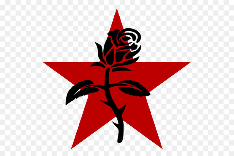 kisspng-anarchism-black-rose-symbol-anarchy-anarcho-syndic-communism-5ac502e3486fc2.7462244315228607712967.thumb.jpg.80fec0c037703e44b04dcd6651dfc704.jpg