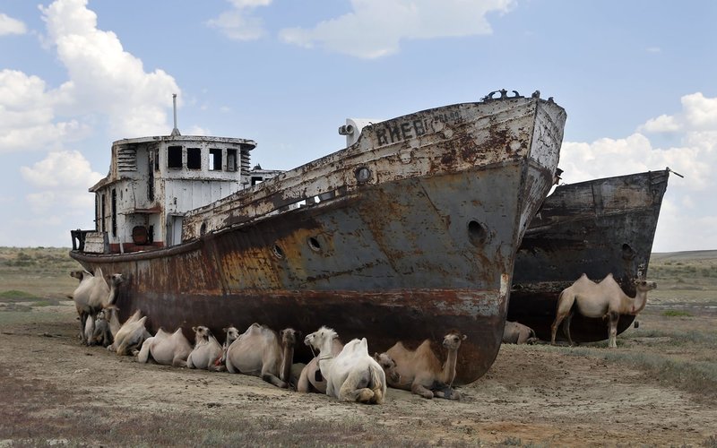 ship-sea-vehicle-wreck-shipwreck-camels-watercraft-100989.jpg