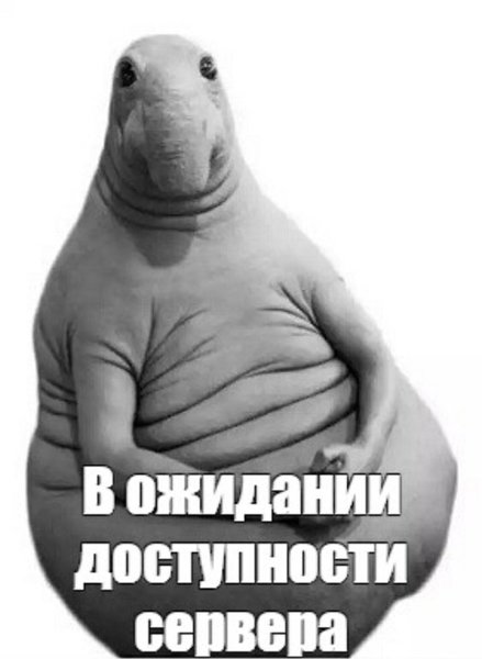 13883588.jpg