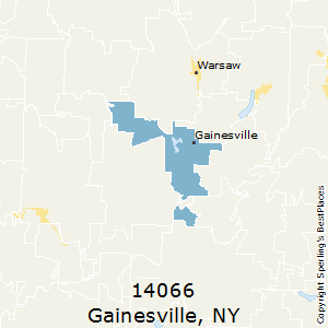 NY_Gainesville_14066.png.9209e88ba010f417b835218beb349e44.png