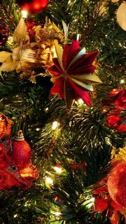 image.png.3ea52d070a3fce3a17994286227d7ee9.png