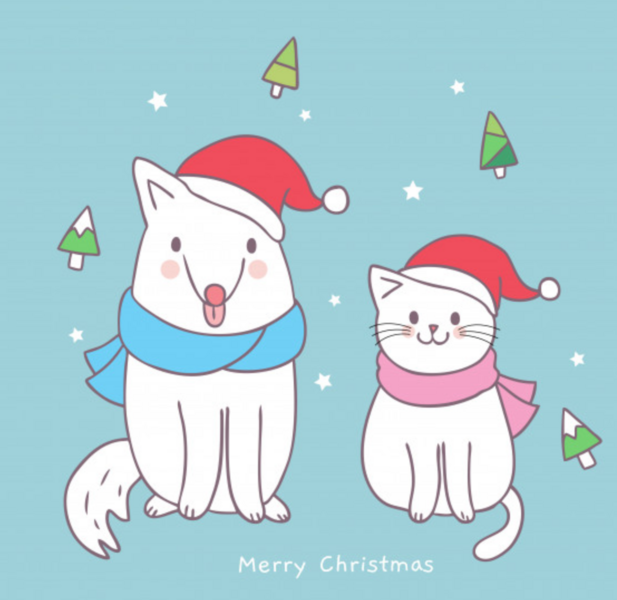 image.thumb.png.bec002aa5e270da1cf6822067aaec4f7.png