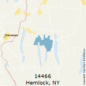 NY_Hemlock_14466.png.c0a1775a064d262da3f82e44f73c2be9.png