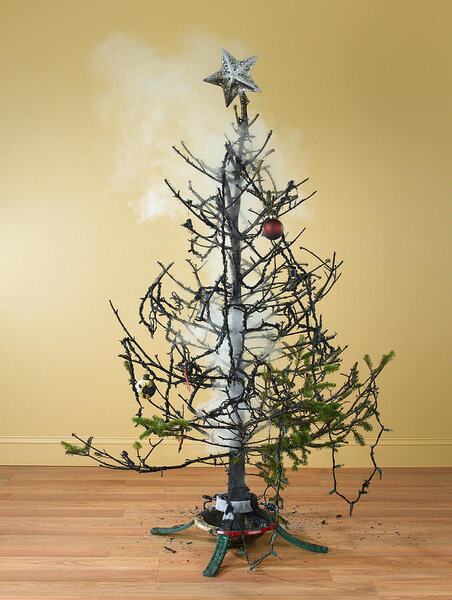 burnt-christmas-tree-with-smoke-jeffrey-coolidge.jpg