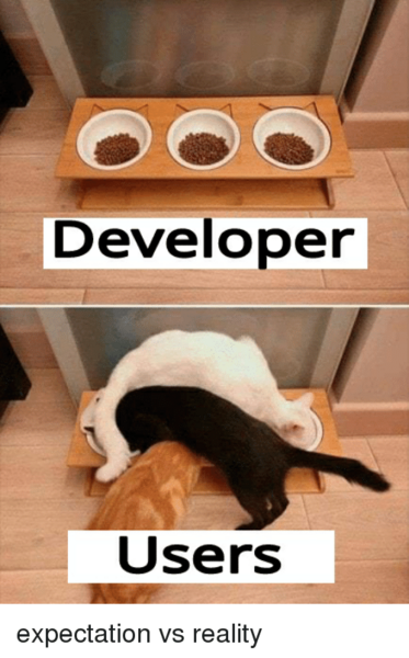 developer-users-expectation-vs-reality-38806562.png