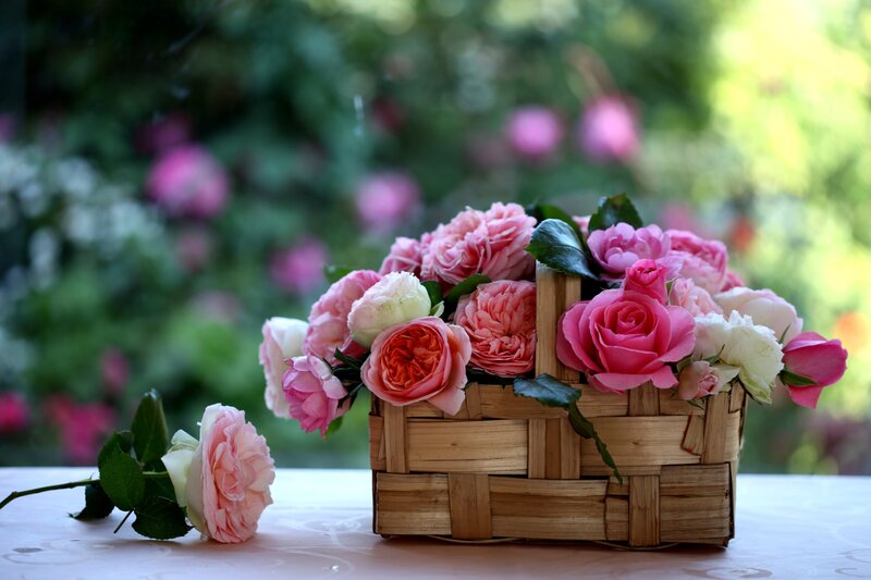 Nature___Flowers_____Basket_with_roses_087167_.thumb.jpg.049dc737a9793696e0a7bb83016e8722.jpg