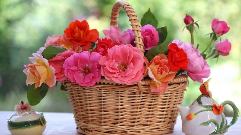 wallpapersden.com_roses-flowers-basket_7680x4320.thumb.jpg.66ac0b53b34e84efcd0fc55ece09cd53.jpg