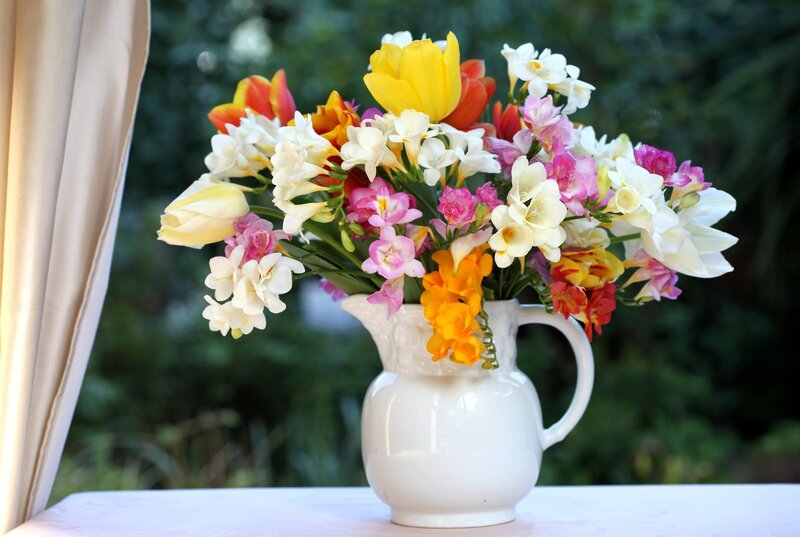 tulips-freesia-flowers-bouquet-jar-box-659605.thumb.jpg.a4ad6cce01b542babfc91f91e8c3caeb.jpg