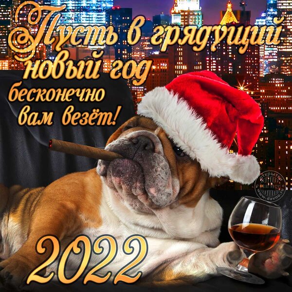 noviy-god-2026.thumb.jpg.2391c240c55bb4c3218db68c05a84ba1.jpg