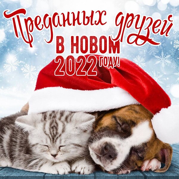 noviy-god-2076.thumb.jpg.82851ee45a0bfb85409239915d648c26.jpg