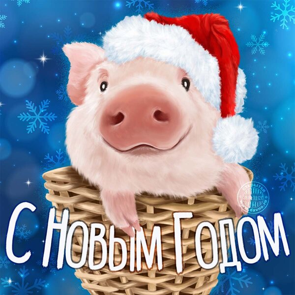 noviy-god-2097.thumb.jpg.44d27b09a9c07890dcf8389b4ba3f7d9.jpg