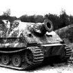 SturmTiger