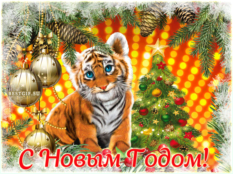 727134461.gif.2be567520292777794c81d327d78fa16.gif