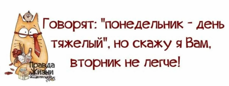 image.thumb.png.1d12fc2ebc3a5711f78f210c62597c17.png