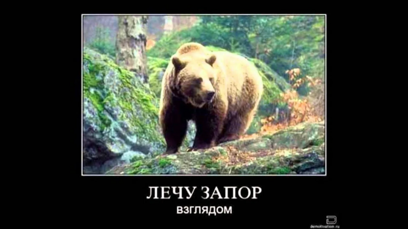 image.thumb.png.1d42a7b3cce82e6a331ecdb9cb3284b3.png