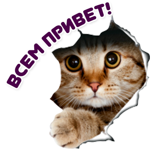 cat3.png.e41e790ce477162ae40659bc325015fa.png