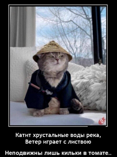 image.png.440af44b8039b723e4796986673c4a58.png
