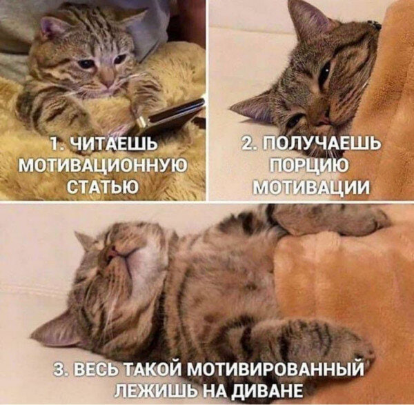 image.png.358b8fbd5ed99866c9e4fcd2ae8c63f8.png