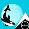 ORClNUS_ORCA