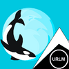 ORClNUS_ORCA