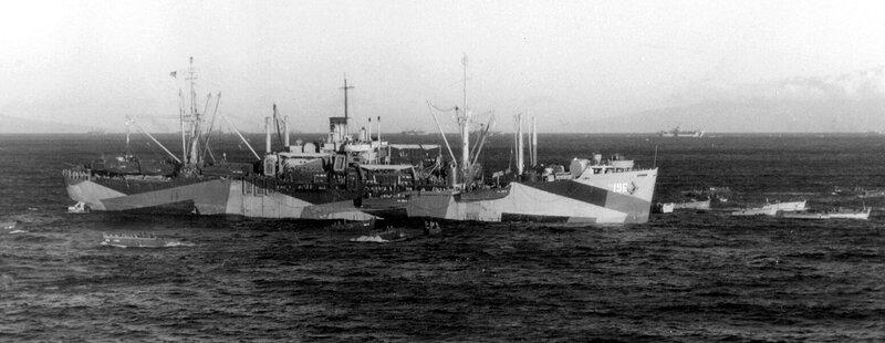 217154053_USS_Logan_(APA-196)_off_Maui_Hawaii_(USA)_in_January_1945_(80-G-304204).thumb.jpg.0008e8dfac29f72aaf20769b50a6c130.jpg
