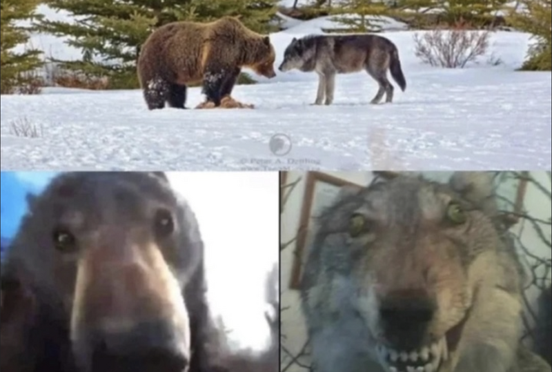 Снимок экрана 2025-04-27 в 20.26.14.png