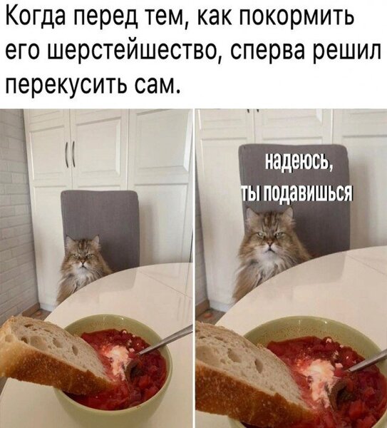 20058819.thumb.jpg.ad25fd05c5038f3c19f0a7e2c3adcc51.jpg