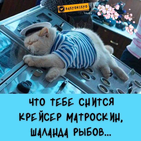 9DA2D38D-B21B-4C4B-A766-ECA9D4F12EE2.thumb.jpeg.6160591c02ac2785b2a44c8bc2450736.jpeg